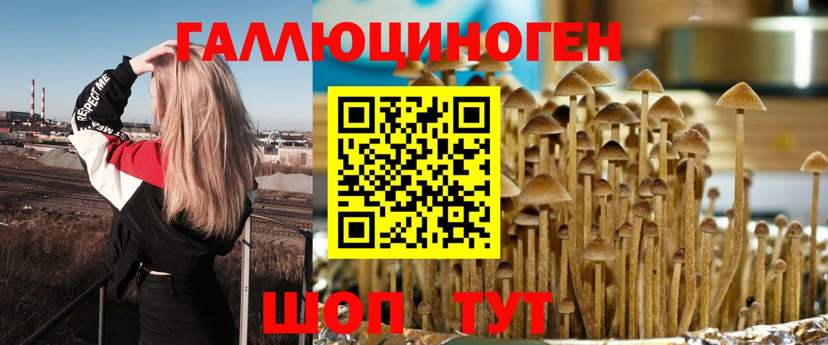 Галлюциногенные грибы мухоморы  Вход с VPN  Ногинск 